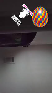 Eli Soles (@elisoles)