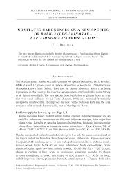 Image result for Baphia bequaertii