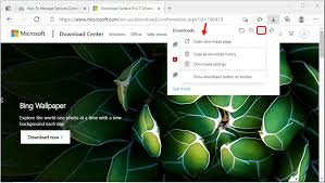 How to remove duplicate favorites on microsoft edge. New Downloads Experience In Microsoft Edge Windows 10 Htmd Blog 2