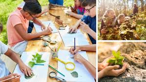 Image result for Science Environment Education
