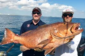 When visiting this beautiful destination, getting outdoors is a must. Fort Lauderdale Fishing An Angler S Guide
