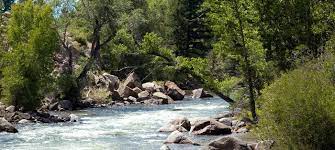 Fun arkansas river white water rafting for all. Arkansas River Rafting Trips In Colorado Ava Rafting