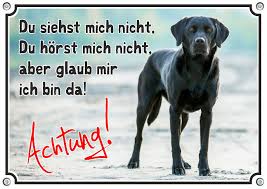 Hundeschild Labrador Retriever Premiumschild Mit Uv Bestandigem Fotodruck Labrador Labrador Retriever Warnschild Hund