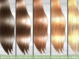 How To Bleach Dark Brown Or Black Hair To Platinum Blonde Or White Black Hair Dye Bleaching Black Hair Bleaching Dark Hair