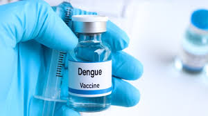 Vaksin DBD: Apakah Efektif Cegah Demam Berdarah?