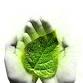 IN PERSON Sustainability Advisory Board