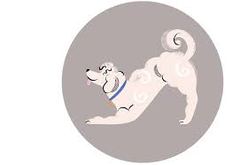 Feline rescue, michigan happy tails pet rescue, arizona happy tails pet sanctuary, california happy tales humane, tennessee harley's hope foundation, colorado harris county veterinary public health, texas harrison county humane society, west virginia hart. Find A Pet Pet Tales Rescue