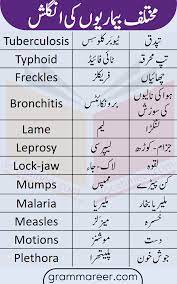 Diseases Names In English With Urdu Meanings Grammareer English Vocabulary Words Learn English Words Good Vocabulary Words