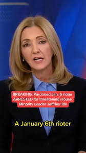Joy Ann-Reid questions Leon Spears, Owner of DC Concealed Carry, what is  the purpose of regular civilians carrying AR-15s.