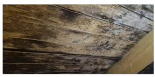 Image result for site:byggahus.se påväxt