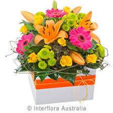 Ph 0408 051 219 email jess@owlandpussycatevents.com.au. Port Kembla Flowers Gifts Order In Store Online Now