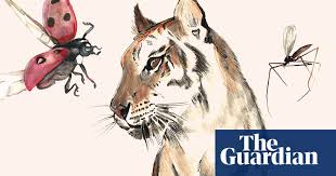 Pollution of water affects both humans and aquatic life. What Is Biodiversity And Why Does It Matter To Us News The Guardian