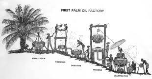 This small malayan village, or kampong, photographed in the case in malaysia was quite different. A Brief History Of The Oil Palm Sciencedirect