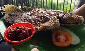 Check spelling or type a new query. 16 Tempat Makan Di Cirebon Paling Enak Murah Java Travel