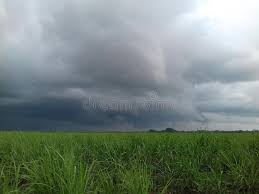 Jika masih kurang, anda bisa download puluhan ribu gambar untuk mewarnai anak yang lain via pinterest. Gambar Image Photos Free Royalty Free Stock Photos From Dreamstime