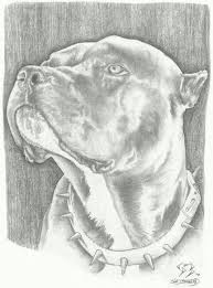 Pin On Pitbulls And Girls