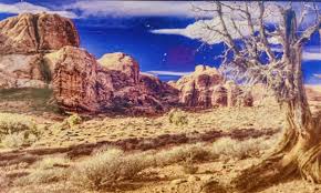 Image result for Terrarium Cling Background