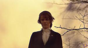 The Return of the Soldier (1982)