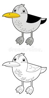 Coloring page free printable pages. Arctic Tern Isolated Stock Illustrations 56 Arctic Tern Isolated Stock Illustrations Vectors Clipart Dreamstime