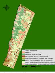 Image result for Mellera lobulata