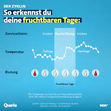 Um schwanger zu werden ist das timing besonders wichtig. Das Weiss Man Uber Die Sicherheit Von Verhutungs Apps Quarks De