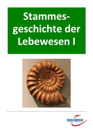 Stammesgeschichte Der Lebewesen Teil 1 Fossilien Mit Videosequenzen 0 ratings0% found this document useful (0 votes).