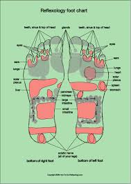 Foot Reflexology Chart Complete Guide For Reflexology Foot