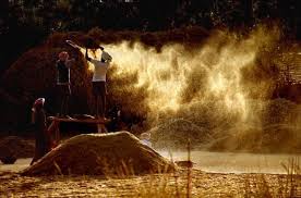 Pin By Mount Vernon Grace Brethren Ch On Truth Gone With The Wind Bible Pictures Photo Story