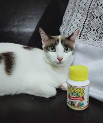 Sri Kantan Animal Food Posts Facebook