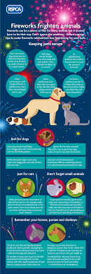 Ultimately, how you decide to calm your dog will depend on the situation. How To Keep Your Pets Safe During Fireworks Rspca