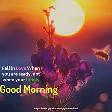 Very good morning to all, if you are searching for good morning images in hindi for whatsapp status, dp, message, then you are on the right webpage. Share Chat Good Morning Images Sharechat Good Morning Good Morning Sharechat