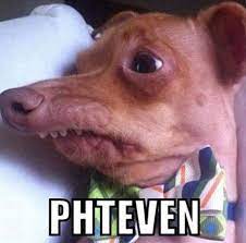 Every dog owner knows the importance of giving a dog a diet that includes a variety of foods including human foods as well. Phteven Tuna The Dog Know Your Meme