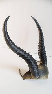 Diy Gazelle Horned Crown Elvish Larp Headdress Helment Horns 3d Print In 2020 With Images Cosplay Horns Larp Horns