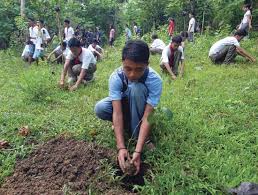 Resultado de imagen para NATO Eagle Scouting  