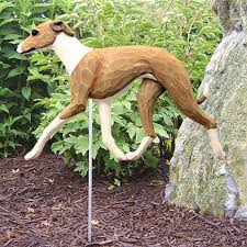 Gray, slate gray, red, fawn, blue, black, white, or cream are. Italian Greyhound Outdoor Garden Sign Hand Painted Figure Fawn White