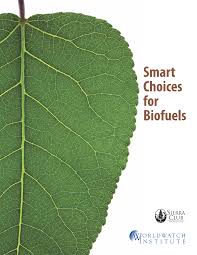 Smart Choices for Biofuels