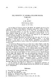 Image result for Scleria schimperiana