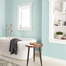 Behr Dynasty 1 Gal Home Decorators