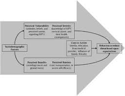 Health Belief Model With Parental Human Papillomavirus Hpv Survey Download Scientific Diagram