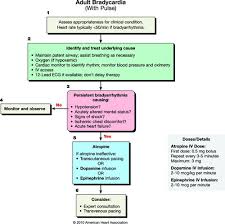We did not find results for: Part 8 Adult Advanced Cardiovascular Life Support Circulation