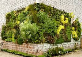 Laut aktuellem trend report 2017 liegt auch dieses jahr bei den einrichtungsthemen indoor gardening wieder voll. Vertikaler Garten Ein Konzept Den Stil Des Stattlebens Verandern