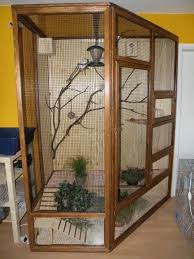 Finch Aviary Image Only Aviariesideas Reptiles Reptiles Manualidades Re Papagan Kus Kafesi Kus Evi