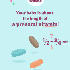 It usually only happens once or twice a day but is still a bit scary. 8 Weeks Pregnant Baby Development Symptoms And More