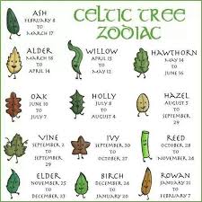 Celtic Tree Zodiac And I Love Birch Trees Celtic Tree Astrology Celtic Tree Celtic Zodiac