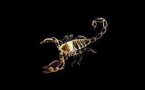 Live Wallpaper Scorpio Zodiac Horoscope For Android Apk Download
