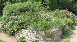 Das spiel mit senke und hügel verleiht dem garten eine gewisse dynamik. Kleiner Hugel Naturschaugarten Lindenmuhle