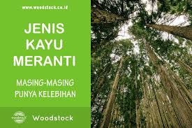 Di dalam negeri lebih dikenal dengan nama kayu bangkirai, sedangkan di luar indonesia lebih dikenal dengan nama yellow balau atau kadang hanya disebutkan balau, yang sebenarnya merupakan nama dari malaysia. Ini Jenis Jenis Kayu Meranti Yang Wajib Anda Ketahui Woodstock