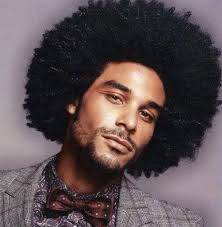 Image result for afro hair
