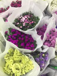 Ingatkan bunga ros putih ni 12 pcs rm20.ambik ko bila buka kotak wrap tu jumpa 8 kuntum kat bawah. Bunga Segar Murah Di Weng Hoa Flower Boutique Jelajah Maya