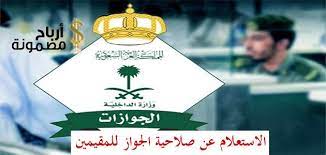 الاستعلام عن صلاحية الجواز للمقيمين هي أحد الاستعلامات الالكترونية التي حرصت المديرية العامة للجوازات التابعة لوز christmas ornaments novelty christmas holiday
